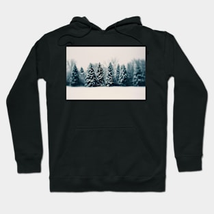 Winter and Woods Hoodie